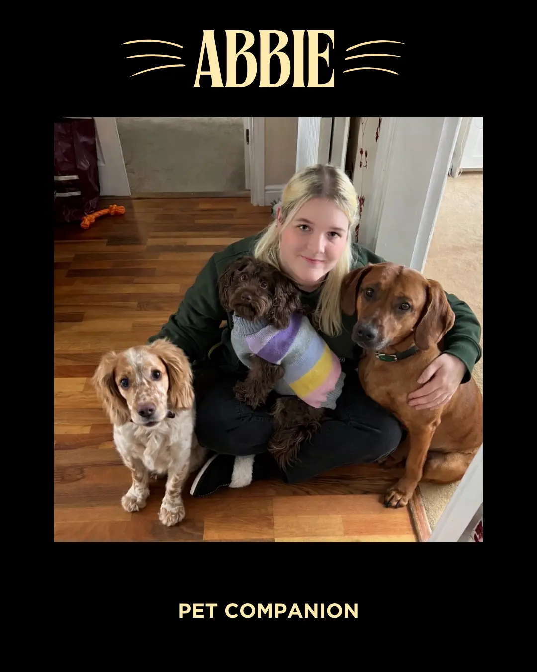 Abbie, pet companion in Hilton and surrounding areas