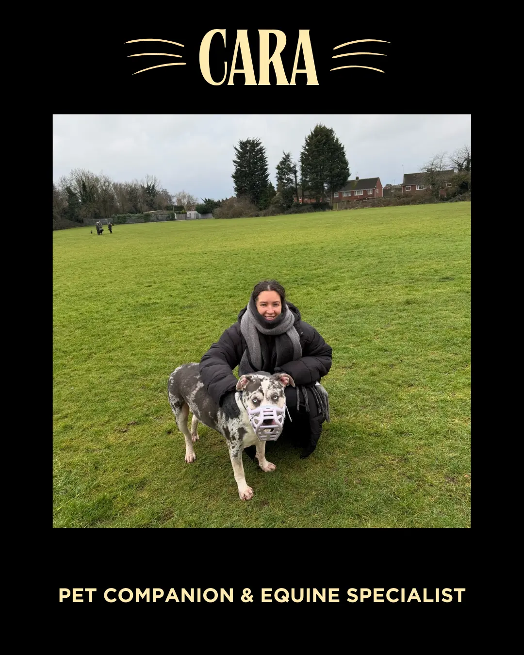 Cara, pet companion in Toton and surrounding areas