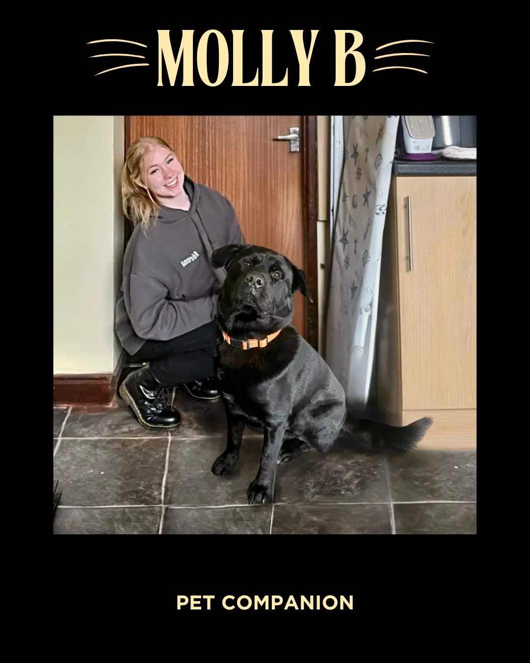Molly, pet companion in Chaddesden and surrounding areas
